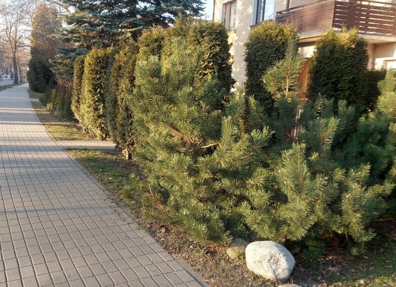Skaitytojo nuotr./Kauniečio užfiksuoti galimi pažeidimai Žaliakalnyje