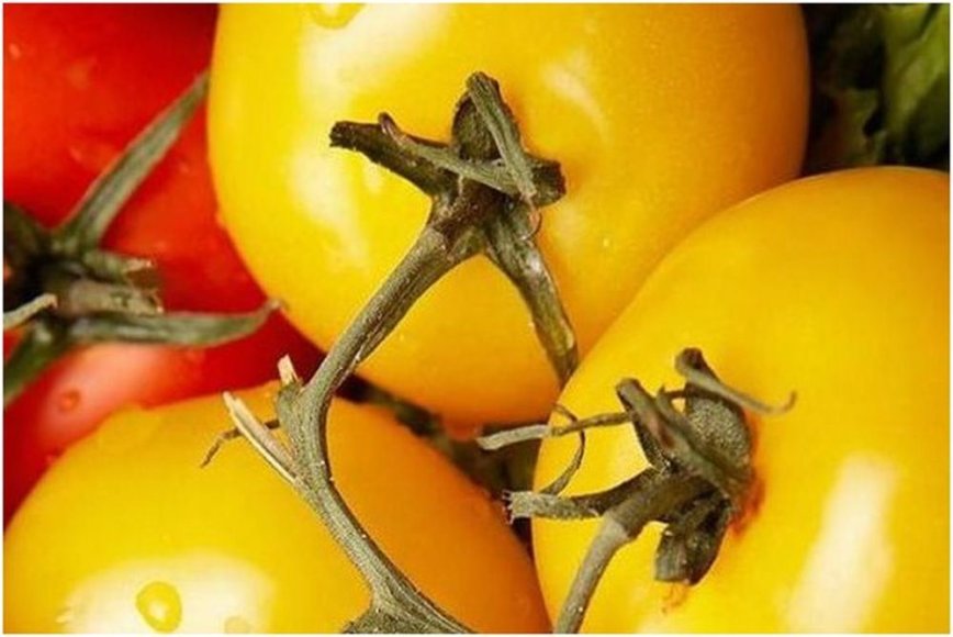 Karšti pomidorai