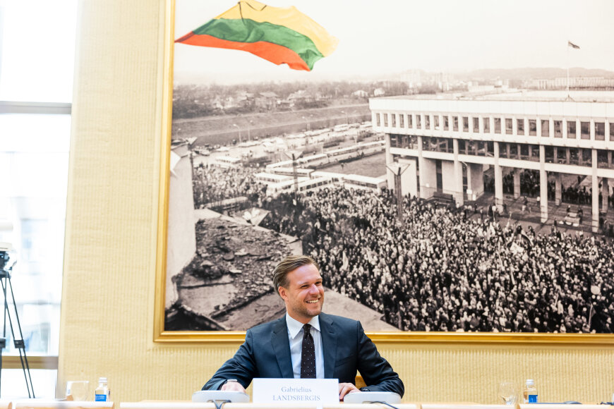 Žygimanto Gedvilos / BNS nuotr./Gabrielius Landsbergis