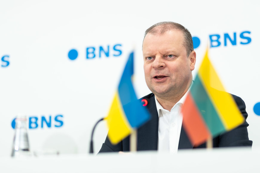 Žygimanto Gedvilos / BNS nuotr./Saulius Skvernelis