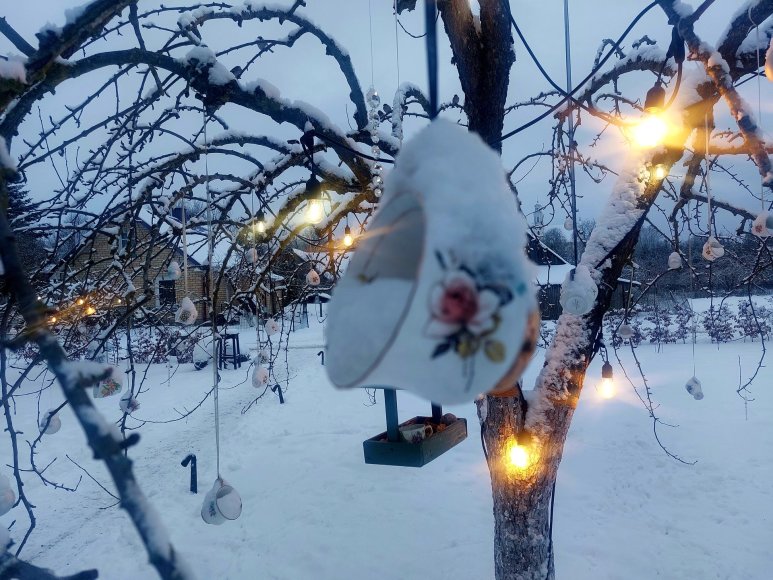 Kęstučio Songailos nuotr. /Villa Tulipa Kurtuvėnai 