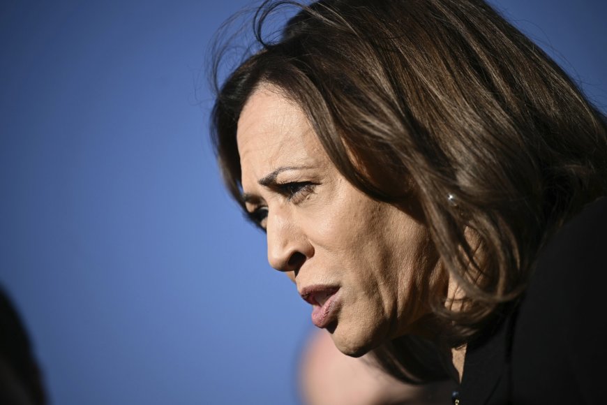 JAV demokratų kandidatė į prezidentus Kamala Harris / Brendan Smialowski / AP