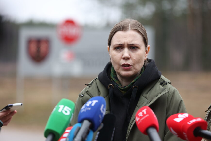 Skirmantas Lisauskas/ BNS nuotr./Dovilė Šakalienė
