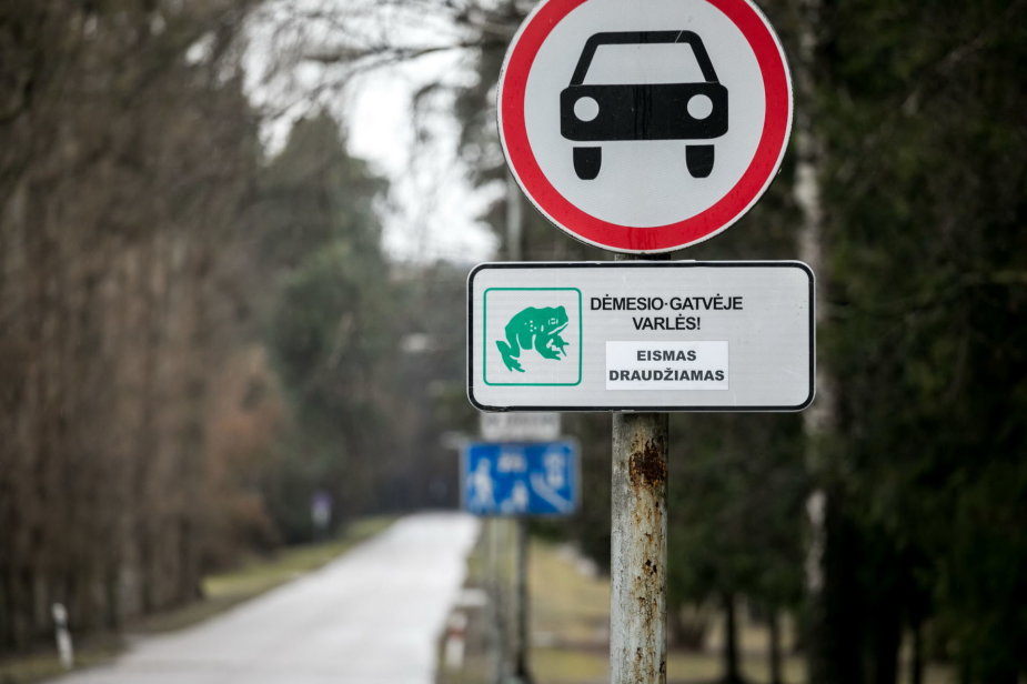 S.Žiūros nuotr./Vilniaus Vingio parke dėl varlių migracijos ribojamas eismas