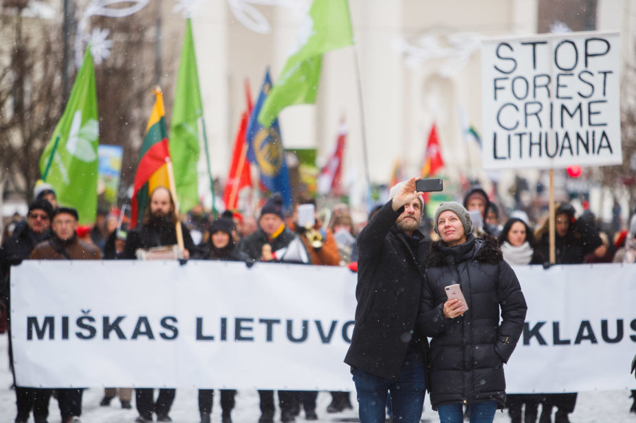 Josvydo Elinsko / 15min nuotr./Eitynės prieš plynus kirtimus