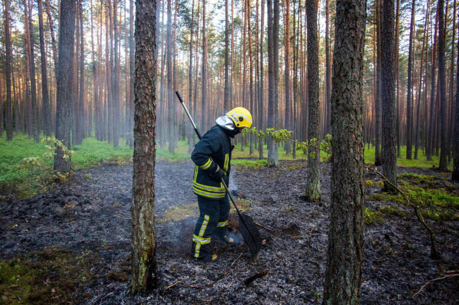 Vidmanto Balkūno / 15min nuotr./Ugniagesiai gesina miško gaisrą