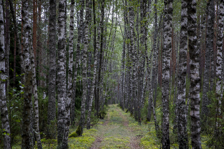 Luko Balandžio / 15min nuotr./Čepkelių gamtinis rezervatas