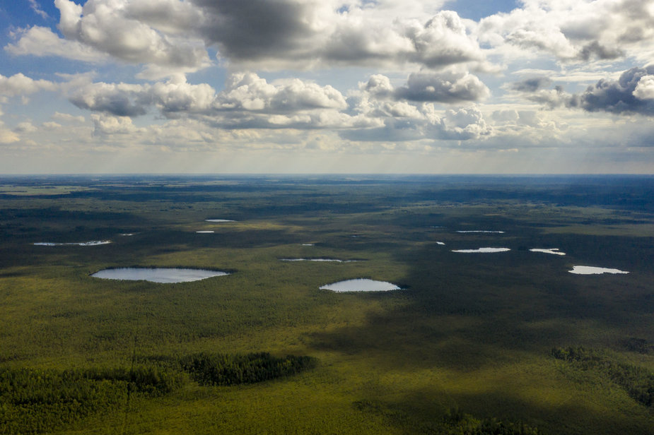 Luko Balandžio / 15min nuotr./Čepkelių gamtinis rezervatas