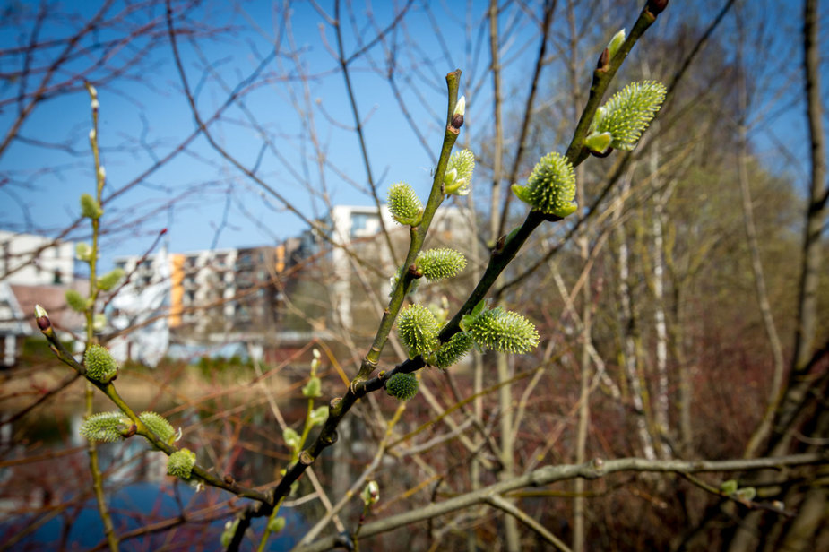 Vidmanto Balkūno / 15min nuotr./Sostinės Šnipiškių rajonas