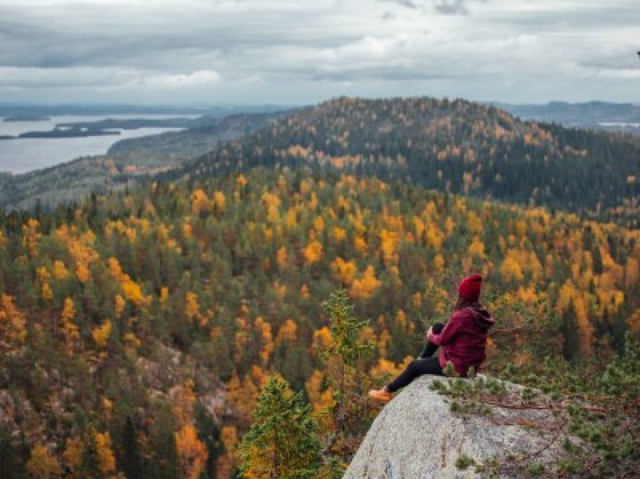 Nacionalinis parkas / visitfinland.com nuotr.