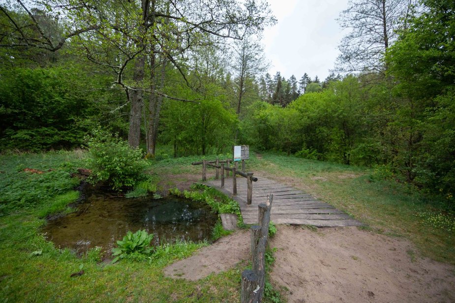 Žygimanto Gedvilos / 15min nuotr./Šaltinis Ūlos akis