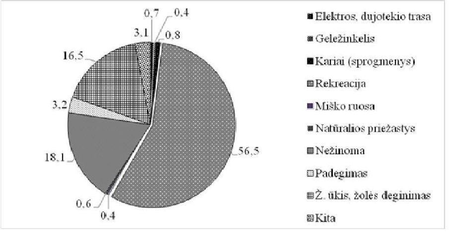 Miškų instituto dr. Vido Stakėno inf. /Miškų gaisrų priežasčių statistika