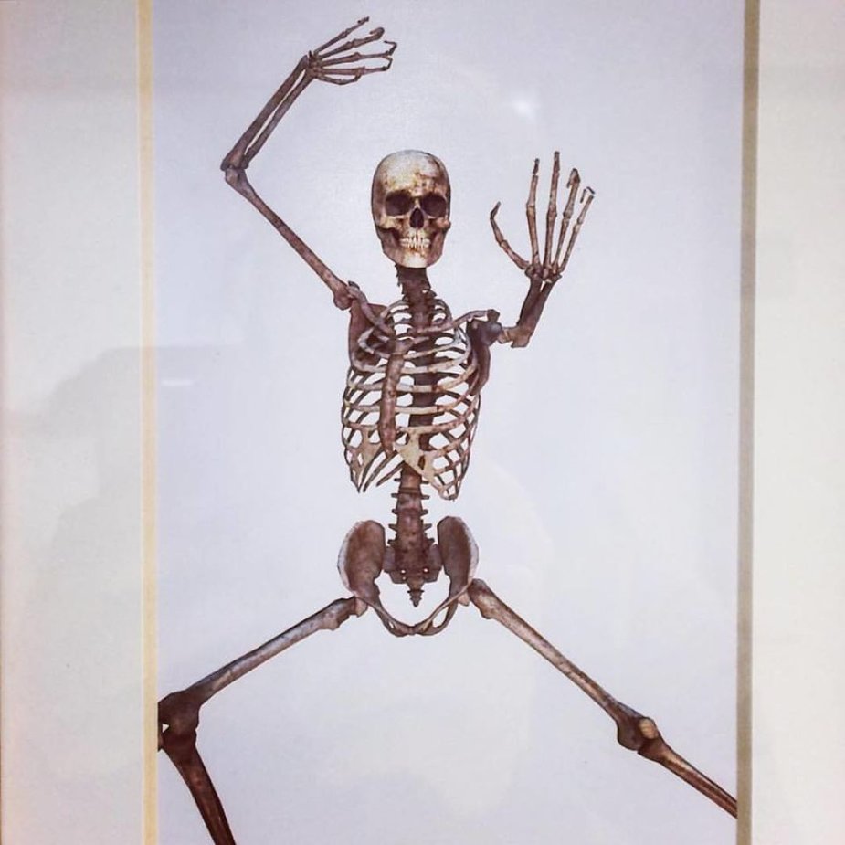 Asmeninio archyvo nuotr./Net skeletai čia linksmi ir šoka - Lauros aptiktas vaizdelis universitete