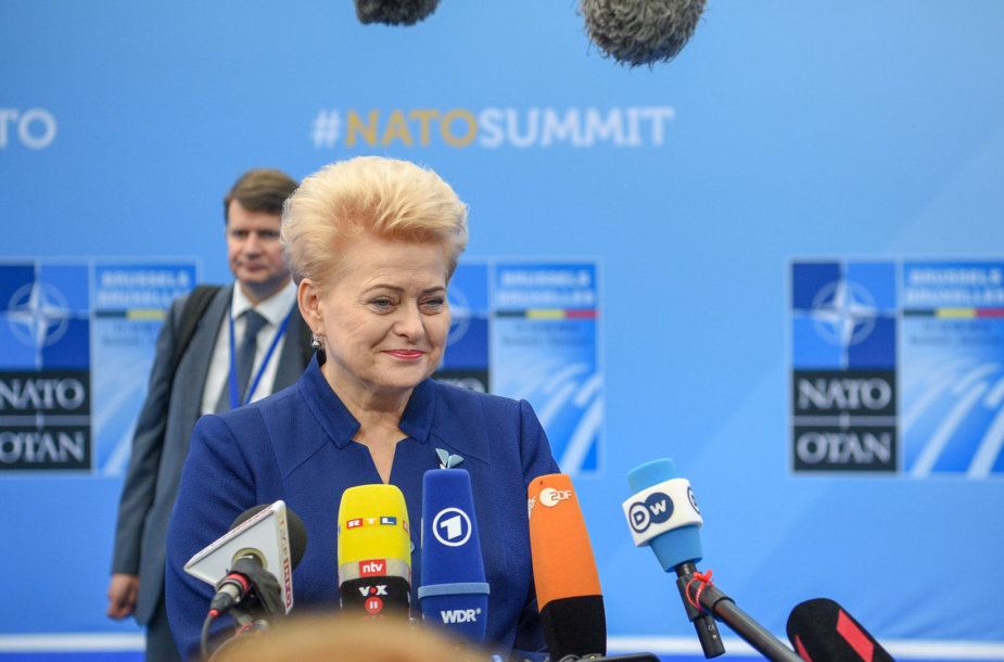 Dalia Grybauskaitė dalyvauja NATO viršūnių susitikime Briuselyje