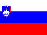 Flag_of_Slovenia.svg