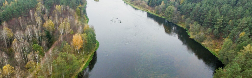 Karmazinų pažintinis takas