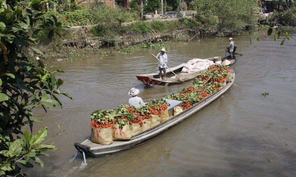 Mekongo deltos gyvenimas
