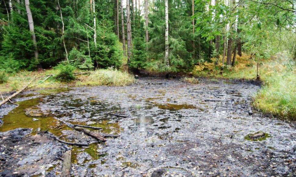 Gyventojai miške Kretingos rajone aptiko didelį naftos produktų „ežerą“.