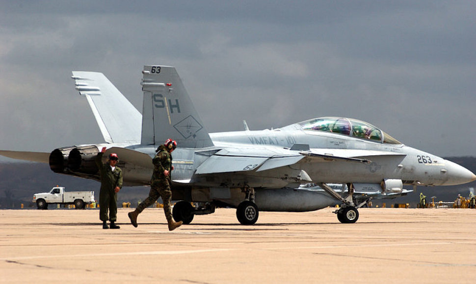 JAV gamybos karo lėktuvas F/A-18 „Hornet“