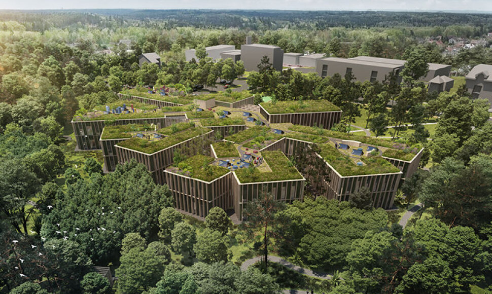 Čekijos miškų komisijos administracinio pastato projektas