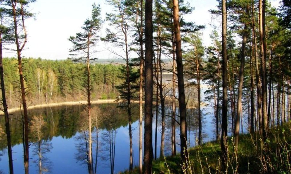 Aukštaitijos Nacionalinis parkas (Linkmeno ežeras nuo Ginučių piliakalnio)