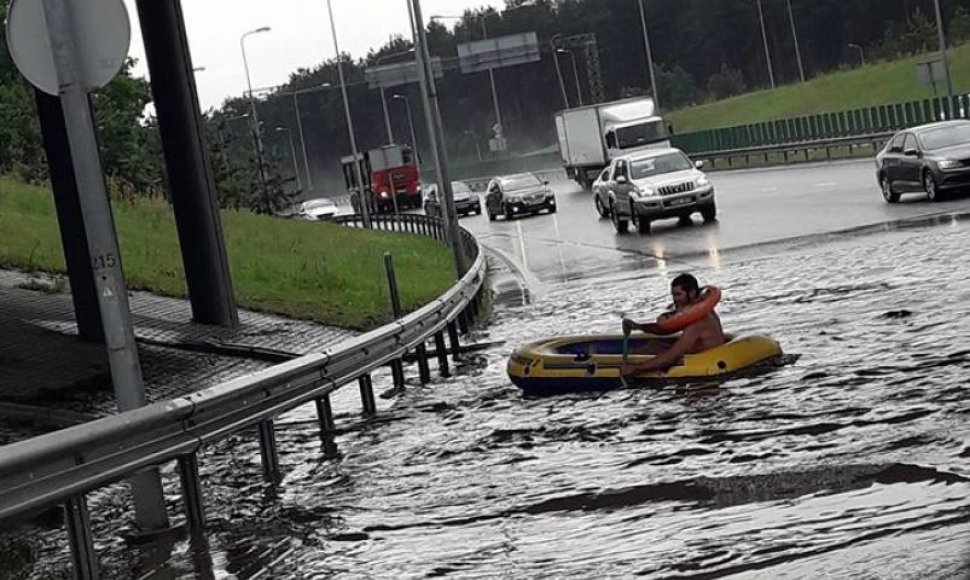 Vilniečiai per liūtį susigalvojo pramogą