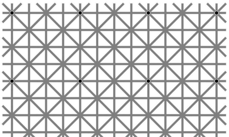 Optinė iliuzija – ar matote 12 juodų taškų?