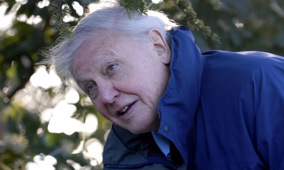 Didžiosios Britanijos dokumentinių filmų apie gamtą kūrėjas seras Davidas Attenborough