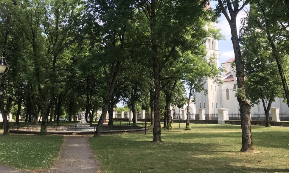 Rietavo centre esantis baseinas papktino keliautojus: vandenyje matėsi pastipusios antys, žuvys. Kvapas buvo nemalonus.