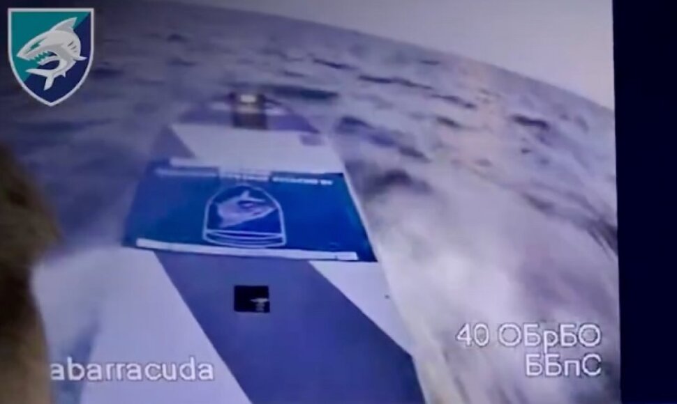 Ukrainos dronas &bdquo;Barracuda&ldquo; smogė Rusijos laivų bazei Dniepro pelkėse.