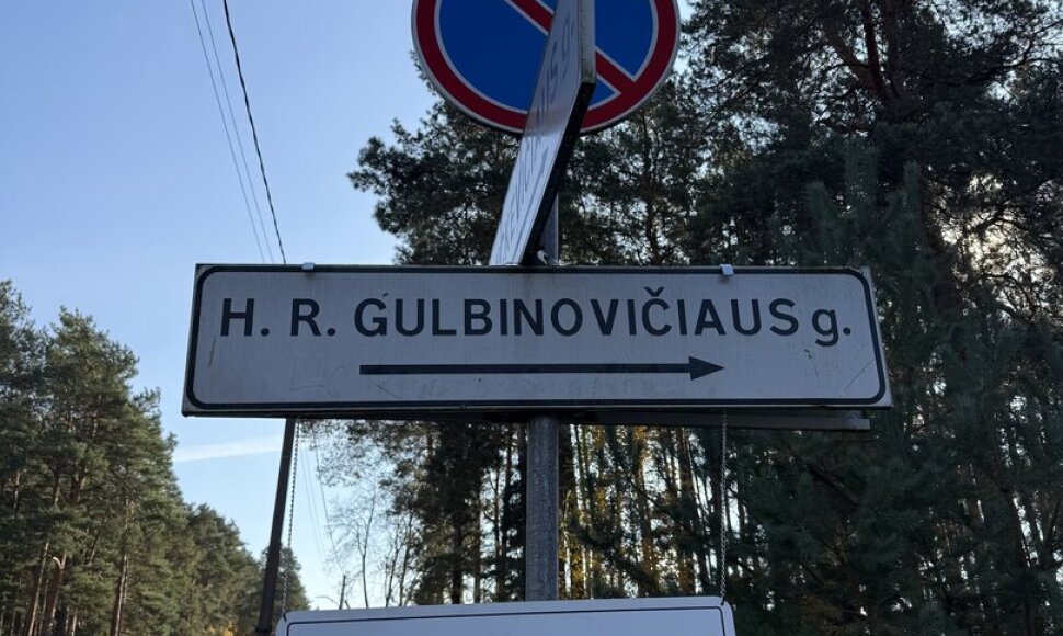 H.Gulbinovičiaus gatvė Vilniaus rajone