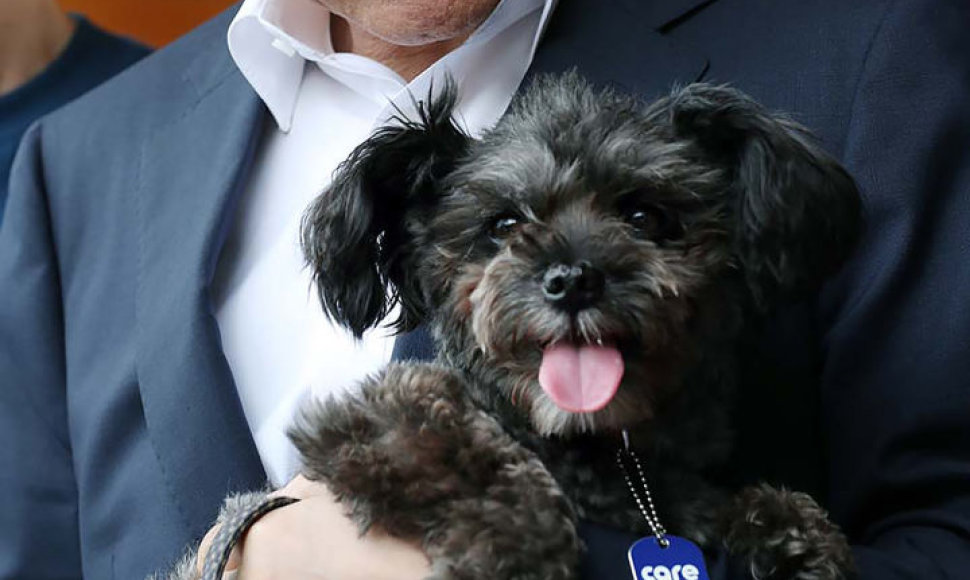 Pietų Korėjos prezidentas iš prieglaudos pasiėmė auginti skriaustą šunį