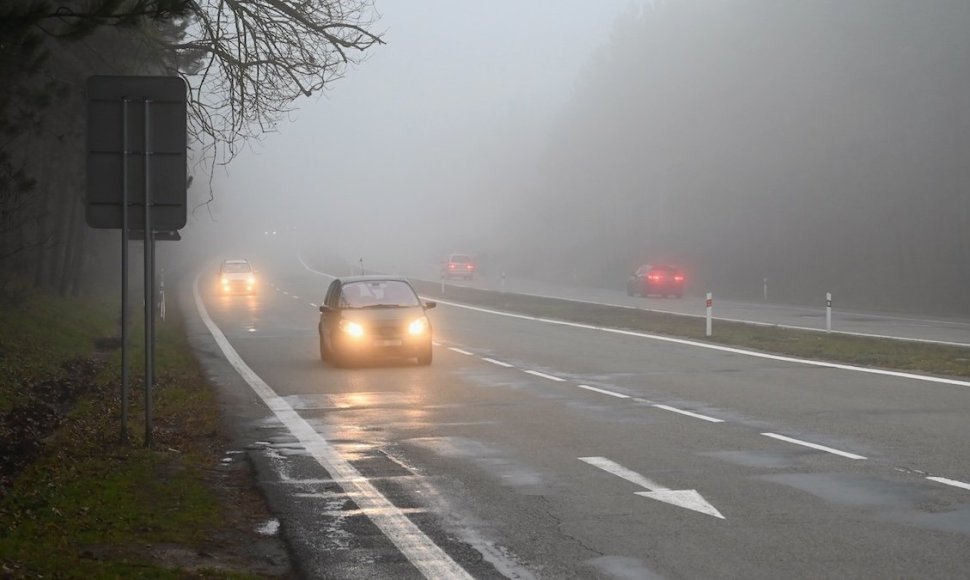 Rudeniški orai, rūkas