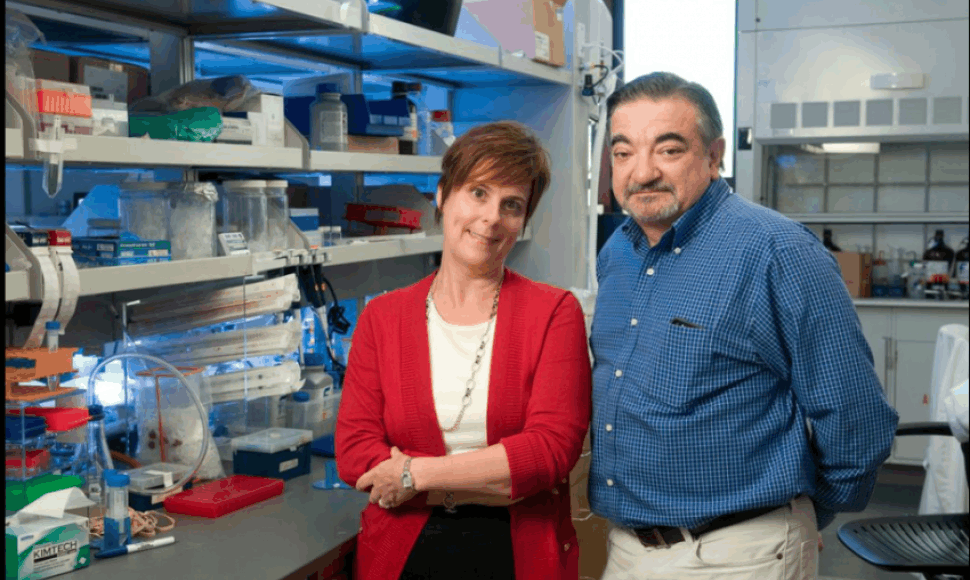 Jennifer Cochran ir Amato Giaccia tyrimas gali padėti užkirsti kelią vėžio plitimui organizme