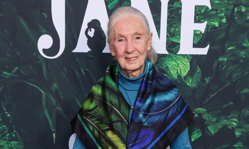 Jane Goodall / Xavier Collin/Image Press Agency / Xavier Collin/Image Press Agency