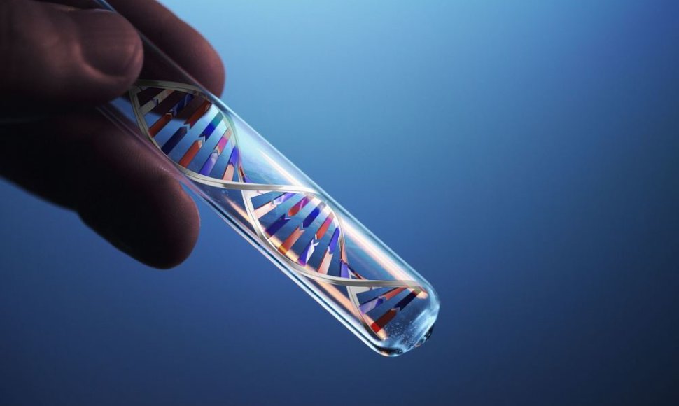 DNR grandinė mėgintyvėlyje