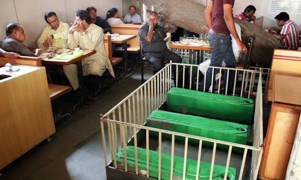 Ahmadabade esanti kavinė, kurioje arbata geriama greta mirusiųjų karstų