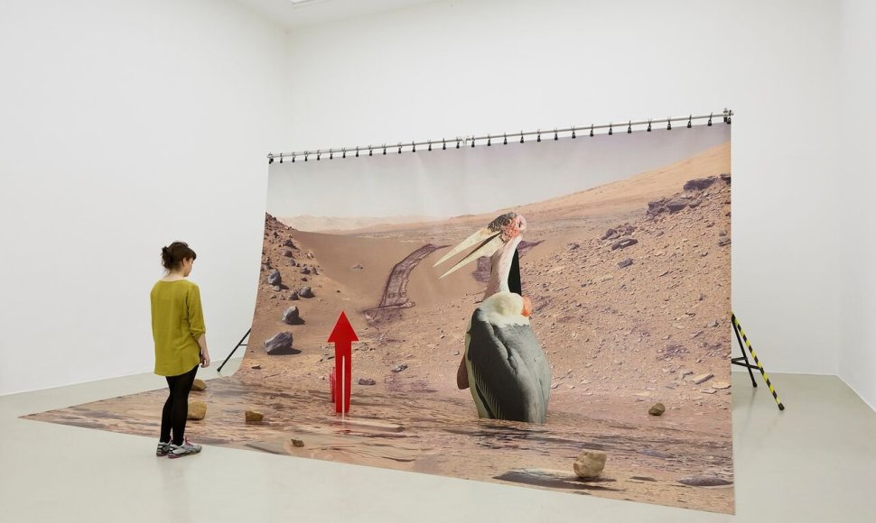 Katja Novitskova „Mars installation“