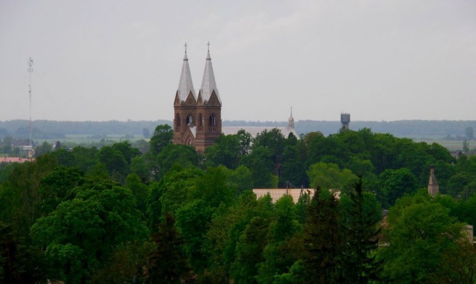 Krekenava ( Panevėžio raj.) nuo apžvalgos bokšto