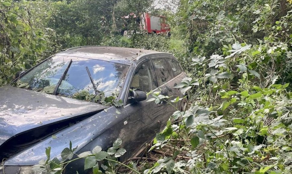 Medžiai užvertė automobilį Lenkijoje