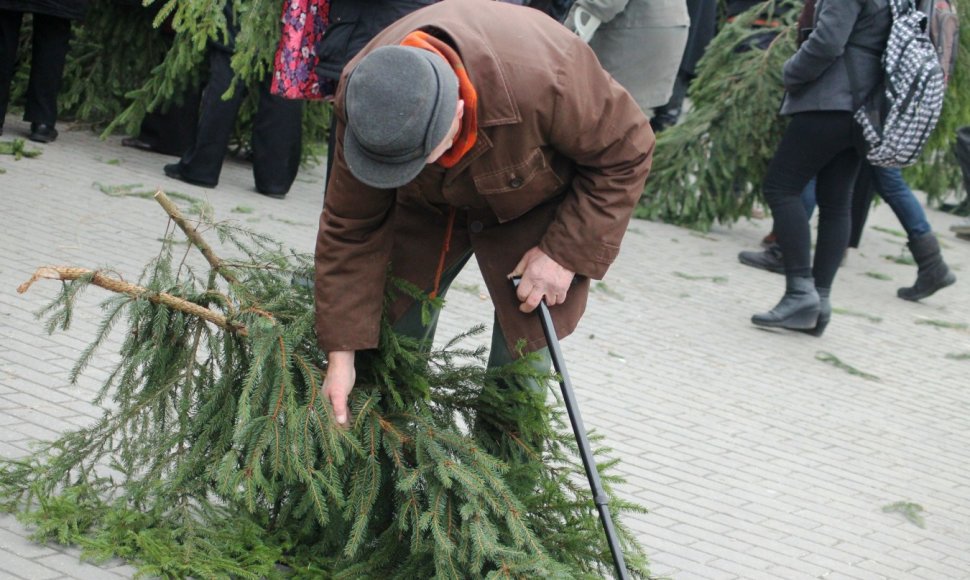 Šakų dalijimo akcija Panevėžyje