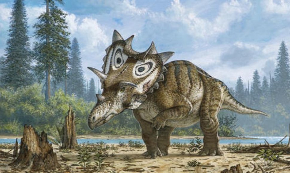 Dinozaurai Spiclypeus shipporum