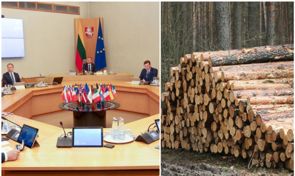 Vyriausybės leido atpiginti medieną