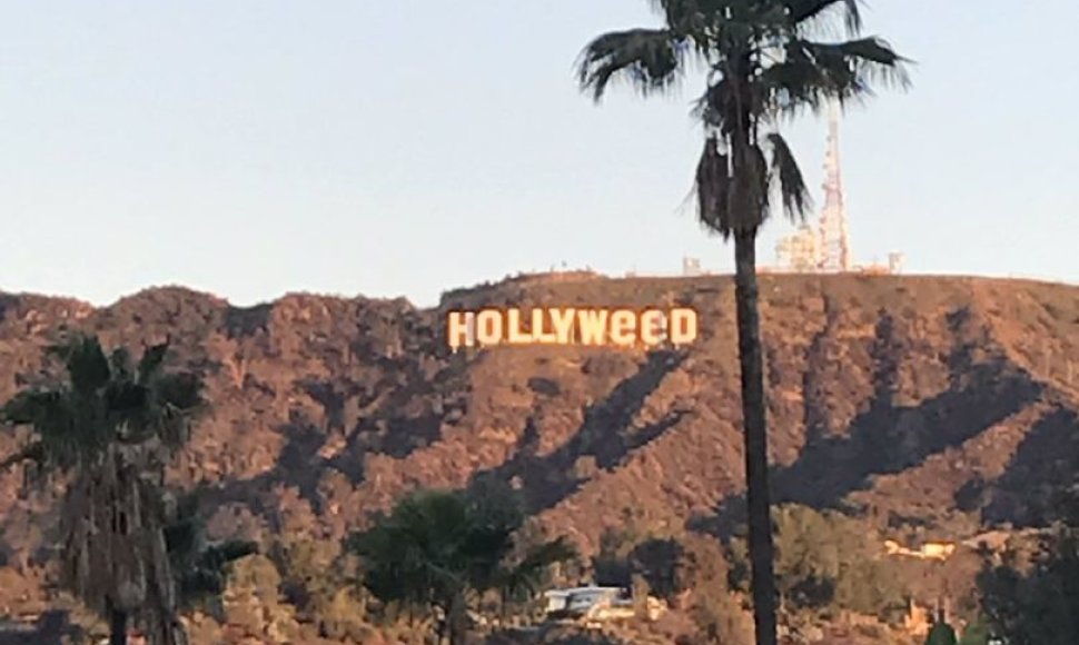 „Hollywood“ virto „Hollyweed“