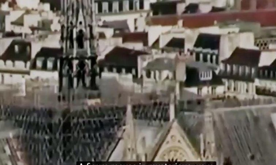 Interneto kameros užfiksuotas Dievo Motinos katedros stogo vaizdas