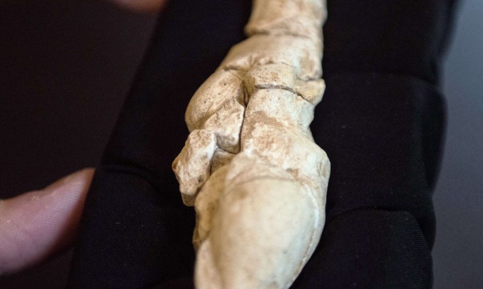 Prancūzijoje atrasta 23 tūkst. metų senumo Veneros skulptūra