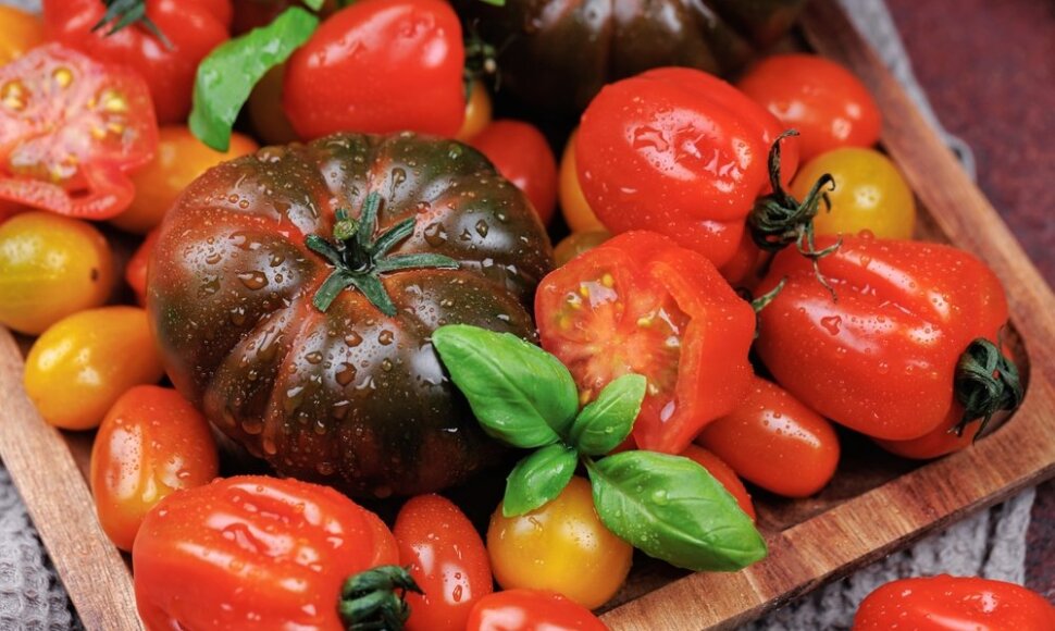 Pomidorai