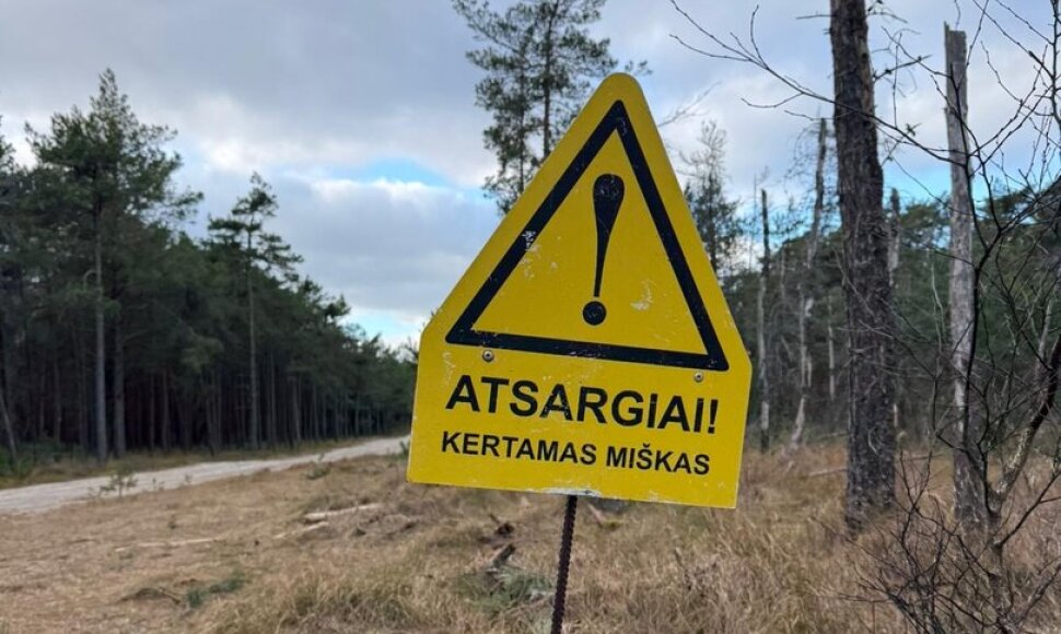 Kirtimai Kuršių nerijoje