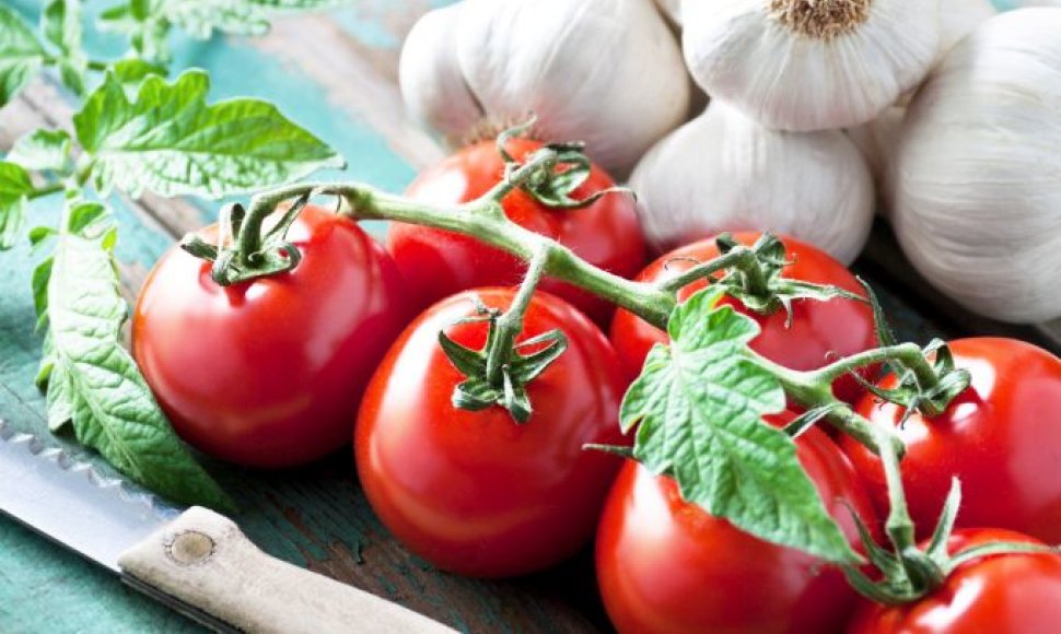 Kaip sulaukti gausaus pomidorų derliaus?