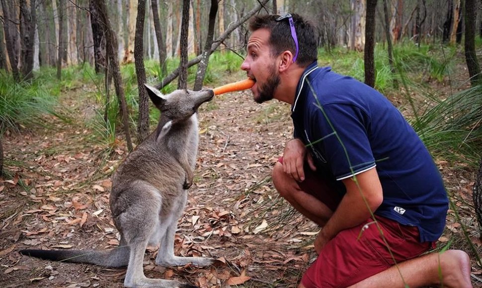 Karolis Žukauskas ir kengūra Australijoje